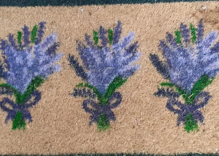 Lavender Apartment